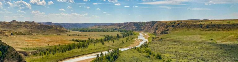 Psilocybin and Psychedelic Assisted Therapy in North Dakota