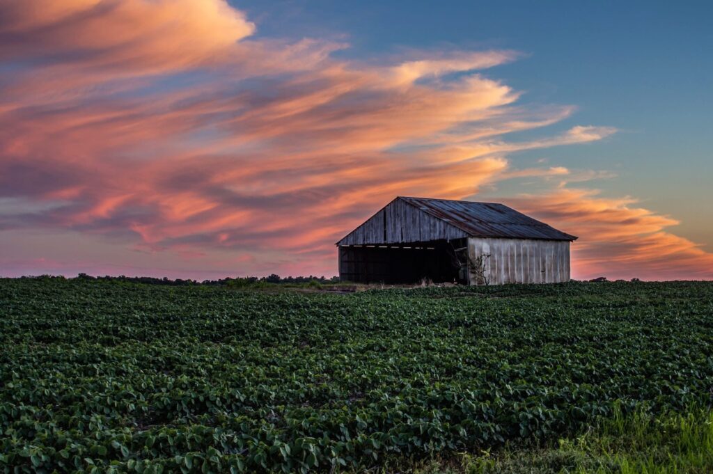 field in indiana sunset