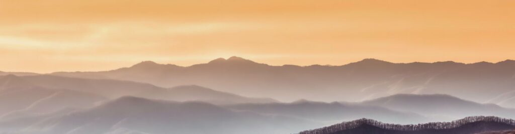 Psilocybin & Psychedelic Assisted Therapy In Tennessee