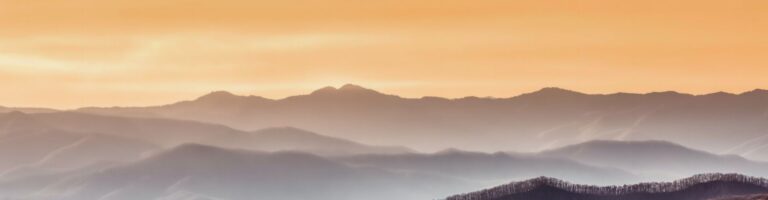 Psilocybin & Psychedelic Assisted Therapy In Tennessee