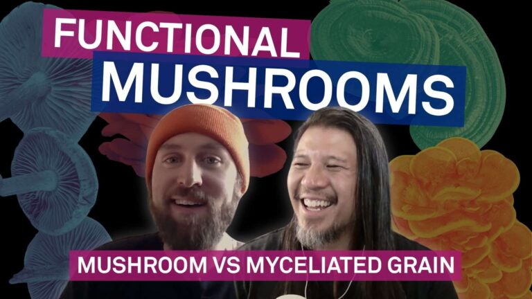 The Mushroom vs Myceliated Grain Debate of Functional Mushroom Products with Louis Giller of North Spore