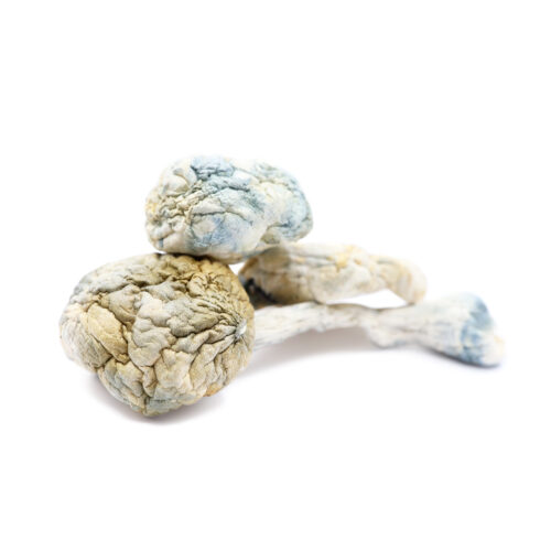 Alien Bubbles Magic Mushrooms For Sale In Australia Online