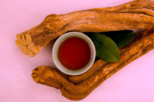 AYAHUASCA