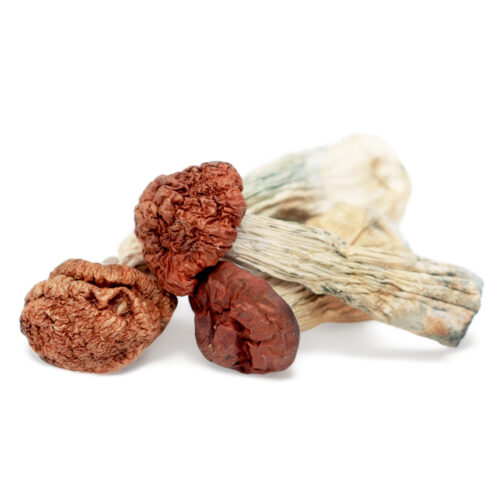 buy Blue Meanie Magic Mushrooms in australia online