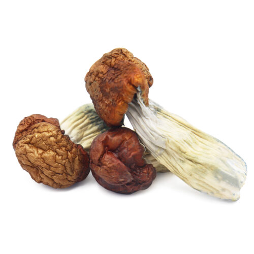 Blue Pulaski Magic Mushrooms For Sale Australia