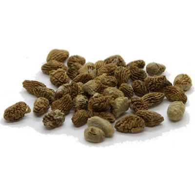 Buy Iboga seeds in Australia online