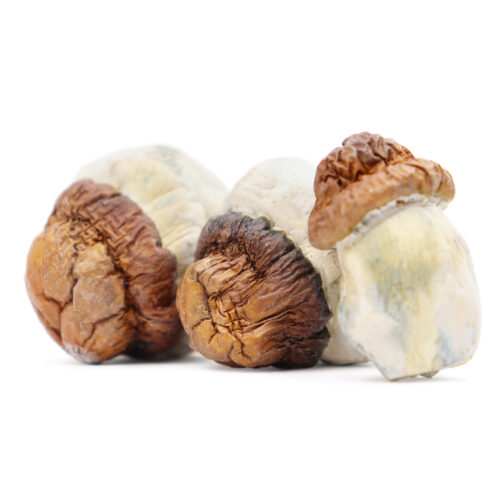 Buy Code Blue Magic Mushrooms In Australia Online.