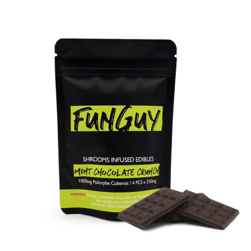 FunGuy Mint Chocolate Crunch Bar For Sale Online Australia