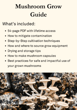 Mushroom Grow Guide