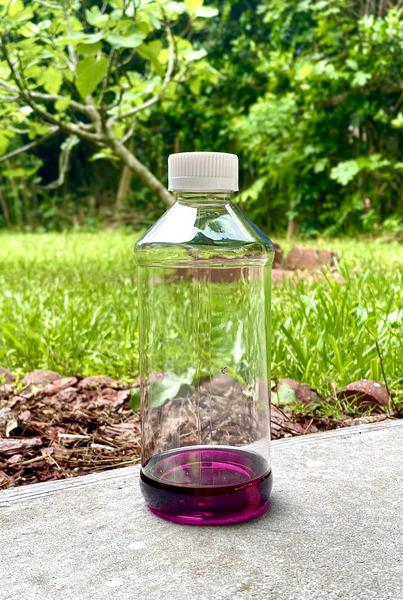 shop Actsyrup Purple Peach-Mint Flavor in Australia