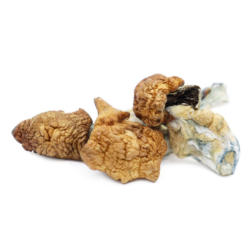 Koh Samui Magic Mushrooms For Sale In Australia