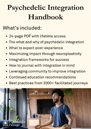 Psychedelic Therapy Integration Handbook