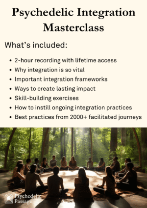 Psychedelic Therapy Integration Masterclass