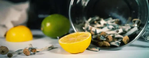 LEMON TEK