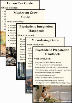 Psychedelic PDF Bundle