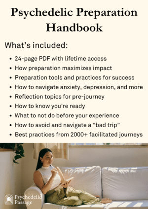 Psychedelic Therapy Preparation Handbook