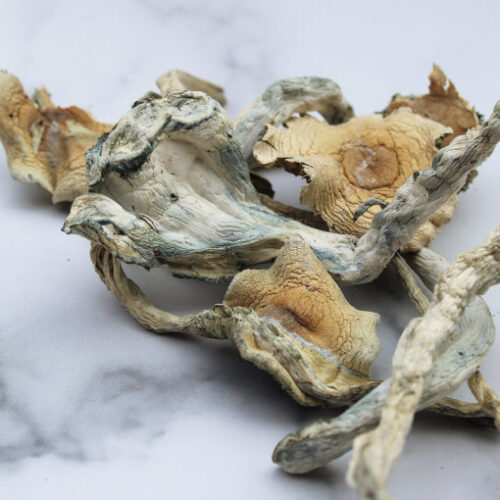 Treasure Coast Magic Mushrooms For Sale Online Australia
